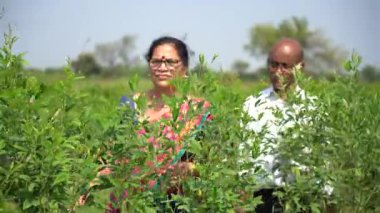 Hindistan 'daki çiftliklerinde mutlu bir çift..