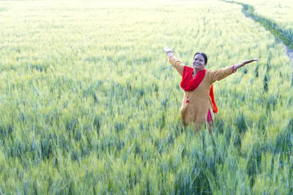 Hindistan 'da buğday tarlasında mutlu bir kadın..