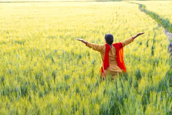 Hindistan 'da buğday tarlasında mutlu bir kadın..