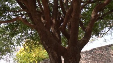 SANCHI, MADHYA PRADESH, Hindistan, 10 Mart 2022: UNESCO Dünya Mirası Bölgesi Büyük Sançi Stupa 'ya turist ziyareti.