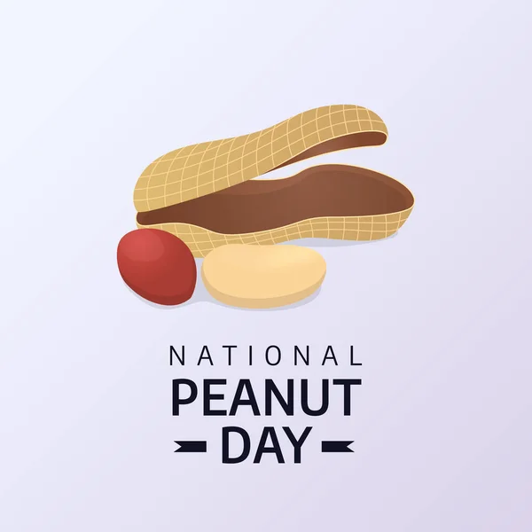 stock vector vector graphic of National Peanut Day good for National Peanut Day celebration. flat design. flyer design.flat illustration.