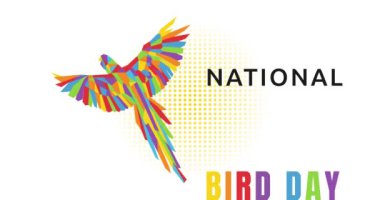 Ulusal kuş günü animasyon videosu. Ulusal kuş günü kutlaması için ideal.