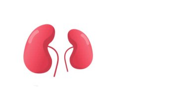 Dünya Böbrek Günü Hareketi videosu. Böbrek Günü için ideal.