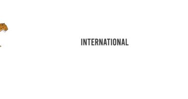 Uluslararası leopar günü hareketi videosu, uluslararası leopar günü kutlamaları için ideal.