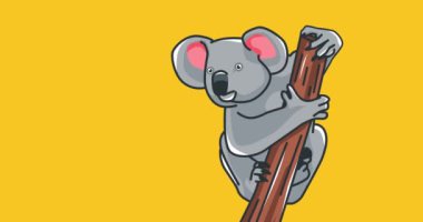 Vahşi koala günü hareketi videosu, vahşi koala günü kutlaması için ideal.