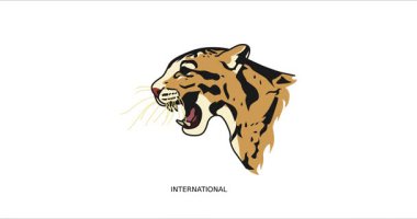 Bulutlu leopar günü hareketi videosu. Bulutlu leopar günü kutlaması için ideal.