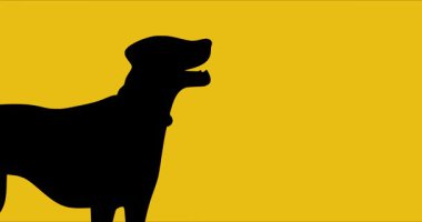 World Dog Day Motion Video, Dünya Köpek Günü kutlamaları için ideal.