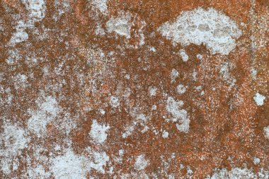 Old wall backdrop grunge background texture light rough textured spotted blank copy space background