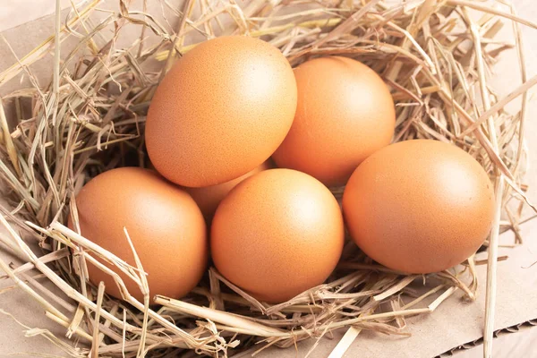 Куриные Яйца Рисовой Соломе Кладут Коробку — стоковое фото