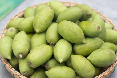 Taze yeşil Elaeocarpus Hygrophilus Kurz sepette