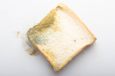 moldy bread on a white background
