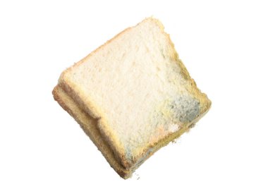 Moldy slices of bread on a white background