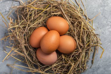 Fresh chicken eggs in straw, gray background. Copy space.
