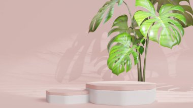 Geometrik platformlu 3D ürün podyum sahnesi. 3D silindir podyum. Ticari geçmiş. Modern minimal tasarımda geometrik formlar. 3d oluşturma.