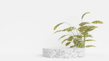 Geometrik platformlu 3D ürün podyum sahnesi. 3D silindir podyum. Ticari geçmiş. Modern minimal tasarımda geometrik formlar. 3d oluşturma.