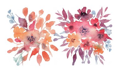 Suluboya çiçekler. Elle boyanmış soyut botanik çizimler paketi. Beyaz bir arkaplanda.