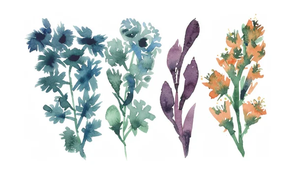 Suluboya Çiçekler Elle Boyanmış Soyut Botanik Çizimler Paketi Beyaz Bir — Stok fotoğraf