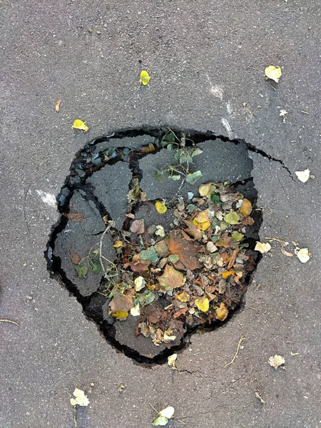 Μια Μεγάλη Τρύπα Στο Δρόμο Έχει Σπάσει Στην Άσφαλτο Φύλλα — Φωτογραφία Αρχείου