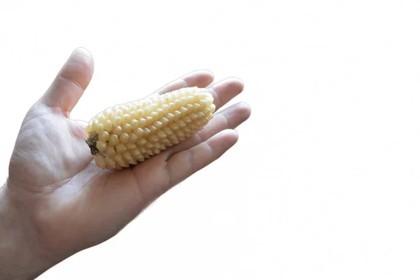 Het Begin Van Popcorn Wordt Vastgehouden Door Een Hand Een — Stockfoto