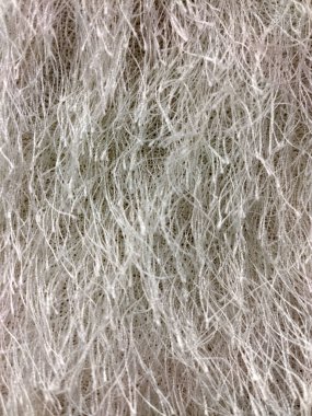 Light animal hair covering the entire background close-up