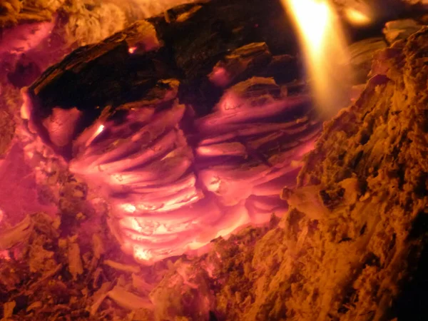 Close-up of glowing red coals in the hearth. Smoldering coals and flames