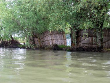 Spring flood. The river overflowed its banks and rose up to the ruined reed fence of the dwelling under the trees