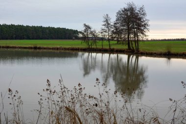 A view of a calm river and a wide green meadow on it. A forest on the horizon. In the foreground is dry grass