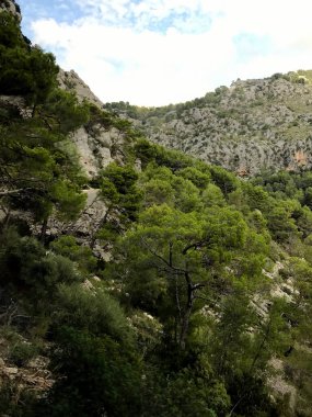 Small trees and bushes grow on the mountain slopes. Against the background of bright blue sky and clouds. A wonderful landscape