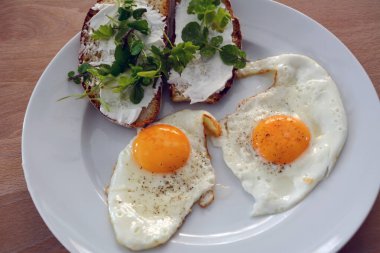 Two cheese and greens toasts with two egg omelets on a plate on a wooden table. View from above