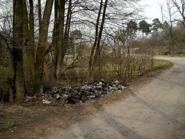 View Piles Plastic Other Waste Dumped Side Road Trees Environmental — Stock Fotó