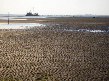 Kuru bir denizin sığ kumlu kıyısı. Su ve su birikintileri ufukta görülebilir.
