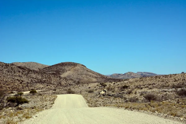 Одинокая Пустая Асфальтовая Дорога Пустыне Перспективе Против Ясного Голубого Неба — стоковое фото