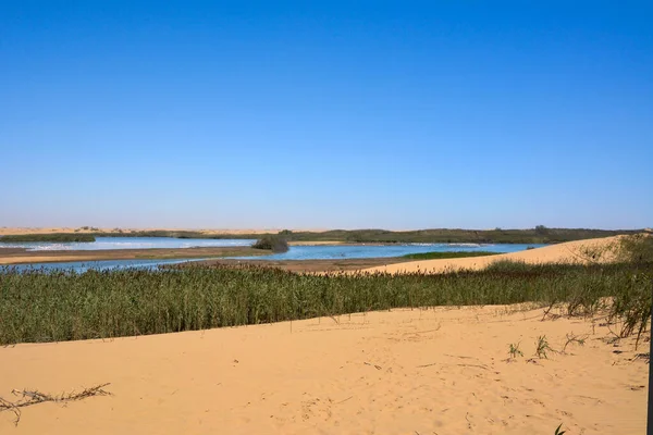 Małe Jeziora Pustynnej Oazie Zieloną Trawą Tle Błękitnego Nieba — Zdjęcie stockowe