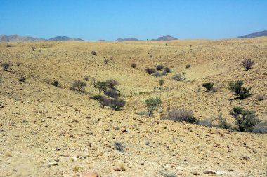 Yamaçlarında birkaç küçük ağaç ve mavi gökyüzü olan çöl tepeleri.