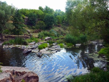 Güzel küçük bir park göleti kıyılar boyunca taşlarla süslenir. Doğal manzara bahçesi. Park tasarımı için doğa kavramı