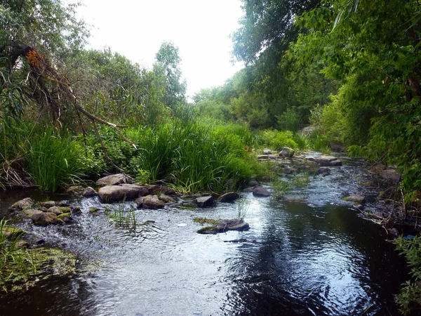 Красива Маленька Паркова Річка Прикрашена Камінням Уздовж Берегів Природний Ландшафтний — стокове фото