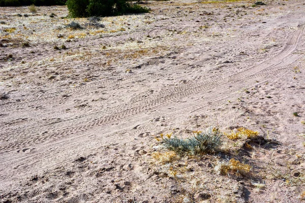 Autó Keréknyomok Sivatagban Egy Földúton Éghajlatváltozás Aszály Földön — Stock Fotó