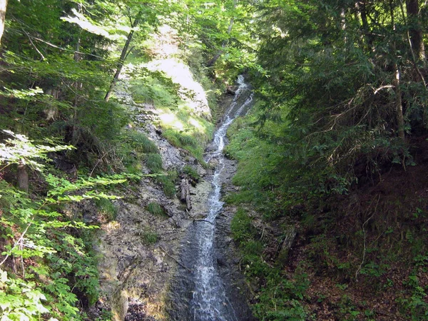 stock image The waterfall flows between green trees along the gorge. View in perspective. Wildlife and tourism