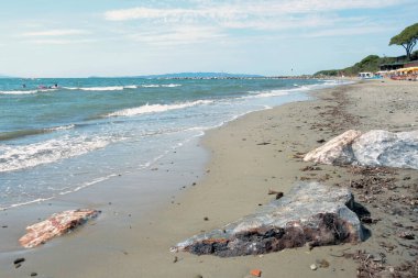 Turistler deniz sahillerinde dinlenir ve dalgalarda yüzerler. Gökyüzü açık ve mavi. Kumda büyük taş kayalar var.