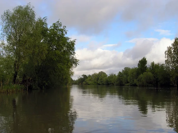 Маленька Річка Тече Через Зелені Луки Лісові Дерева Чисте Небо — стокове фото