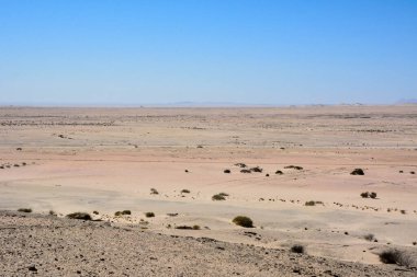 Çöl manzarasından ufka kum, küçük rumslin ve mavi gökyüzü. Kuraklık ve susuzluk..