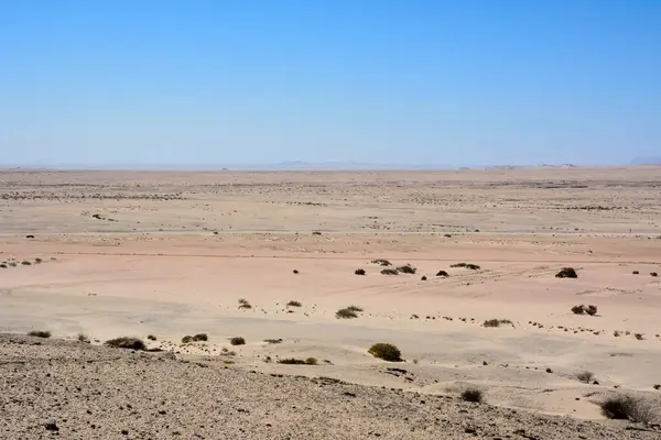 stock image Desert landscape to horizon with sand and small rumslin and blue sky. Drought and dehydration.