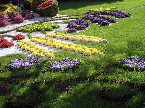 装饰花坛上有许多五彩缤纷的花形图案 是用各种各样的物体做成的 明亮的夏季自然背景 — 图库照片