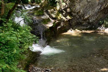 Yaz parkında bir kayanın yanında küçük bir nehir şelalesi. Çevrenin doğal arka planı