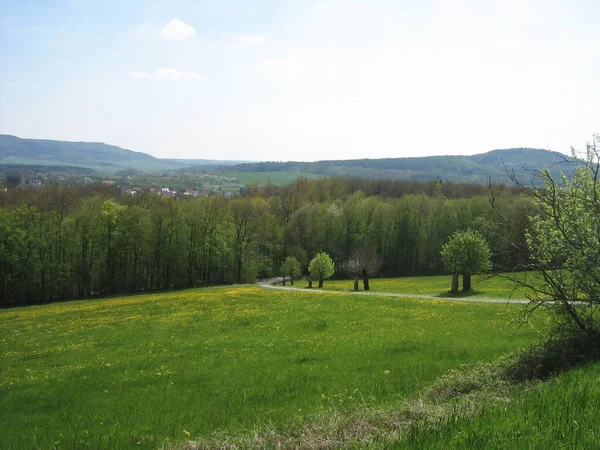 Ścieżka Prowadzi Parku Odległych Wzgórz Pobliżu Zielonej Polany — Zdjęcie stockowe