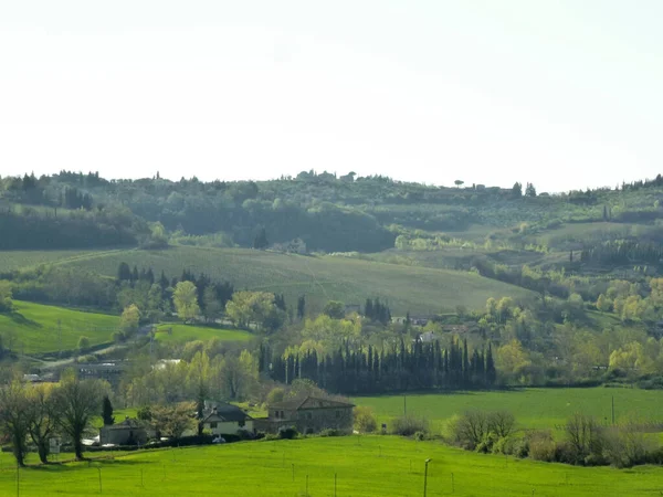 村人の家や農場が位置している緑の丘の景色 夏の農業風景 — ストック写真