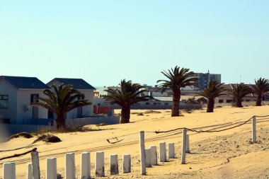 Namibya, Afrika 'da çöldeki birçok küçük evden bir yerleşim yeri. Evlerin yanında bir sıra palmiye ağacı.