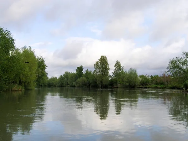 雲が立ち並ぶ青い空の下 木々に覆われた堤防の間を流れる小さな川の絵のような景色 — ストック写真