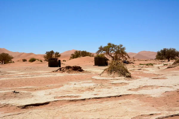 stock image In the arid hot desert, there are two toilets for tourists near dry trees. Dehydration and dehydration of the environment