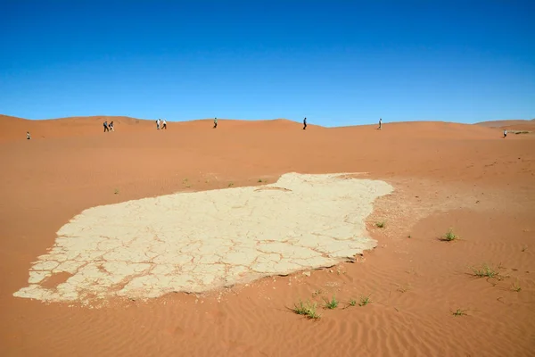 Horizonte Vários Turistas Caminham Pelo Deserto Após Outro Vista Distância — Fotografia de Stock